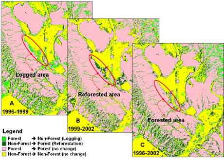 Forest Canopy Density Interpretation