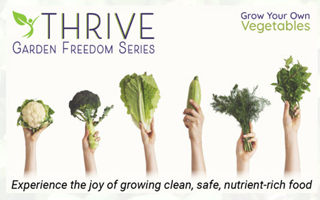 The Garden Freedom Course
