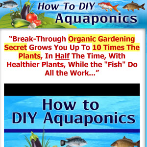 How To DIY Aquaponics
