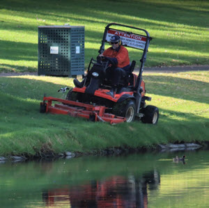Lawn Care Magic