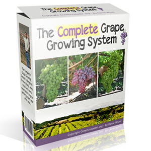 The Complete Grape Growing System