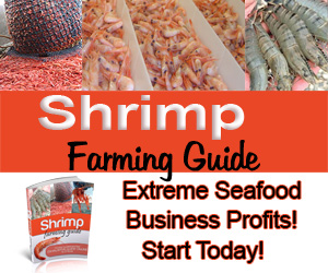 Shrimp Farming Guide