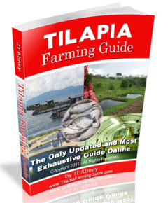 Tilapia Farming Guide
